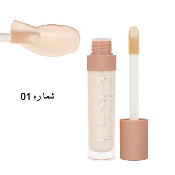 کانسیلر نام مدل پروشاپینگ شماره 01(Nam Pro Shaping Concealer 01Swan)